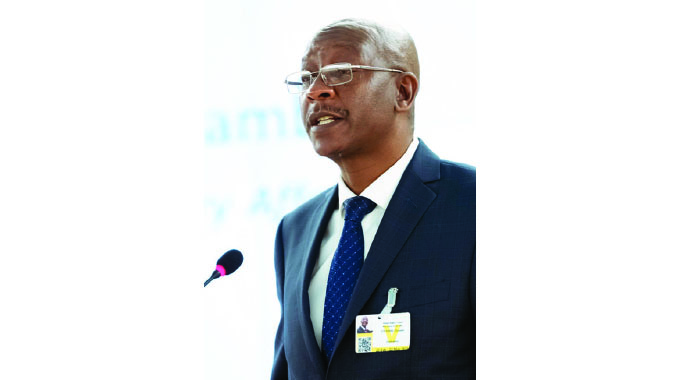 Zim gets judicial seal of approval