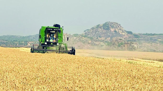 Wheat harvesting boost, as Govt mobilises 310 combines