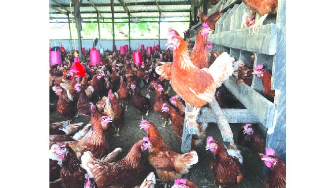 Local firm ABWA undergoes rescue process