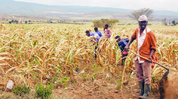 Climate change, food security, Second Republic on right trajectory