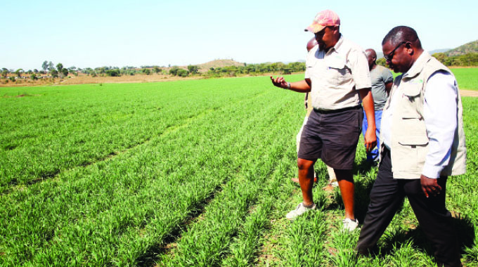 Stiffer penalties for corrupt land officials