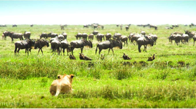 Five strategies for competitiveness: Part 3