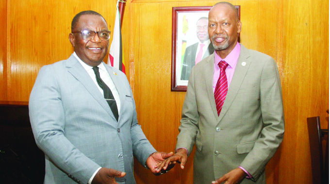 Zim development trajectory excites Sadc