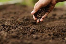 Govt rolls out a soil mapping exercise