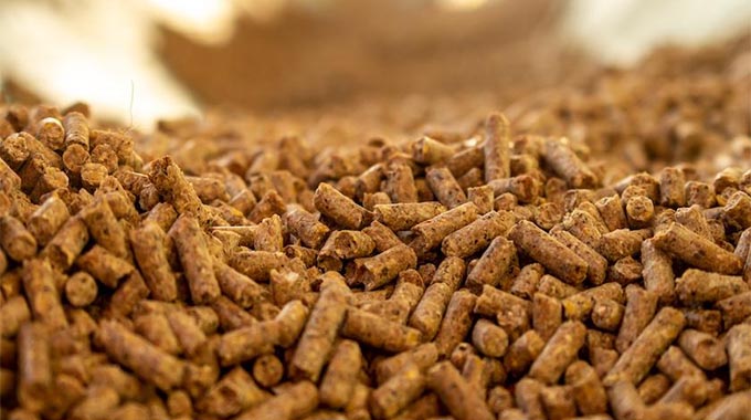 New feed and fodder production intensification strategies