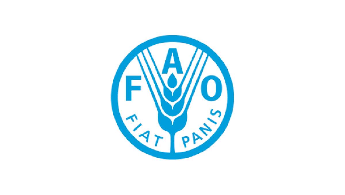 Fight to mitigate drought, boost food security turns digital