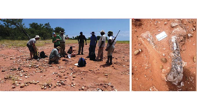 New dinosaur species unearthed in Zim