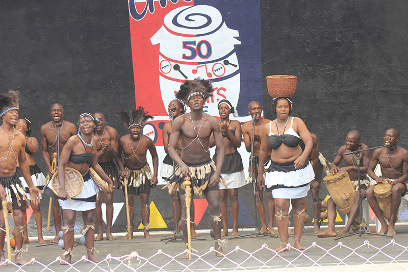Timely boost for Dapuraunanzva Arts Ensemble