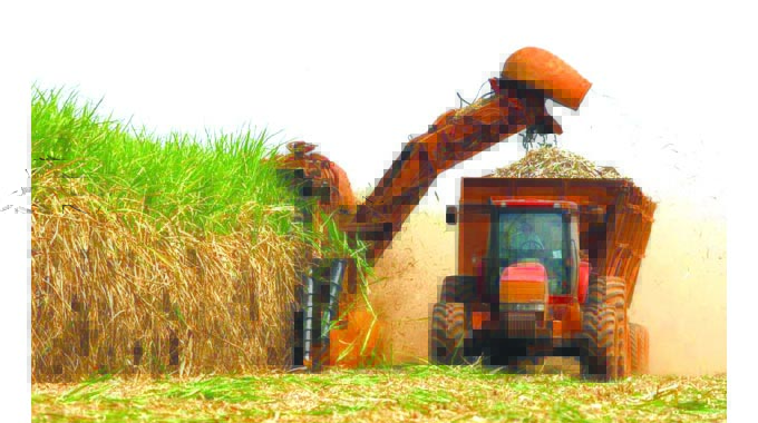 Hippo Valley makes progress on 99yr leases