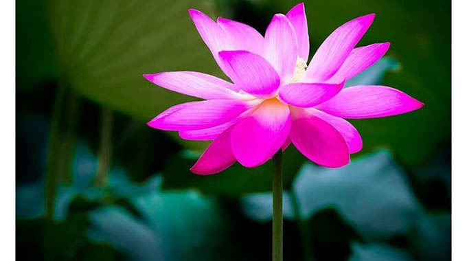 Reflecting beliefs through constructive deeds