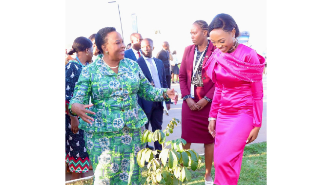 First Ladies hold high-level meeting on environment