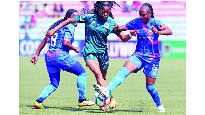 Herentals Queens back home