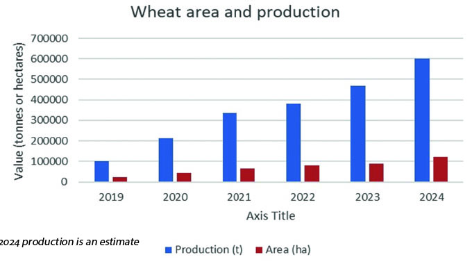 First half durum wheat imports drop 17pc
