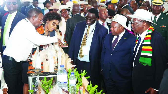 Chaminuka VTC ventures into melon production