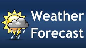 Positive rainfall forecast buoy farmers