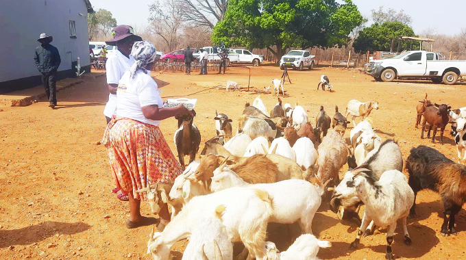 First Lady’s initiative uplifts widows