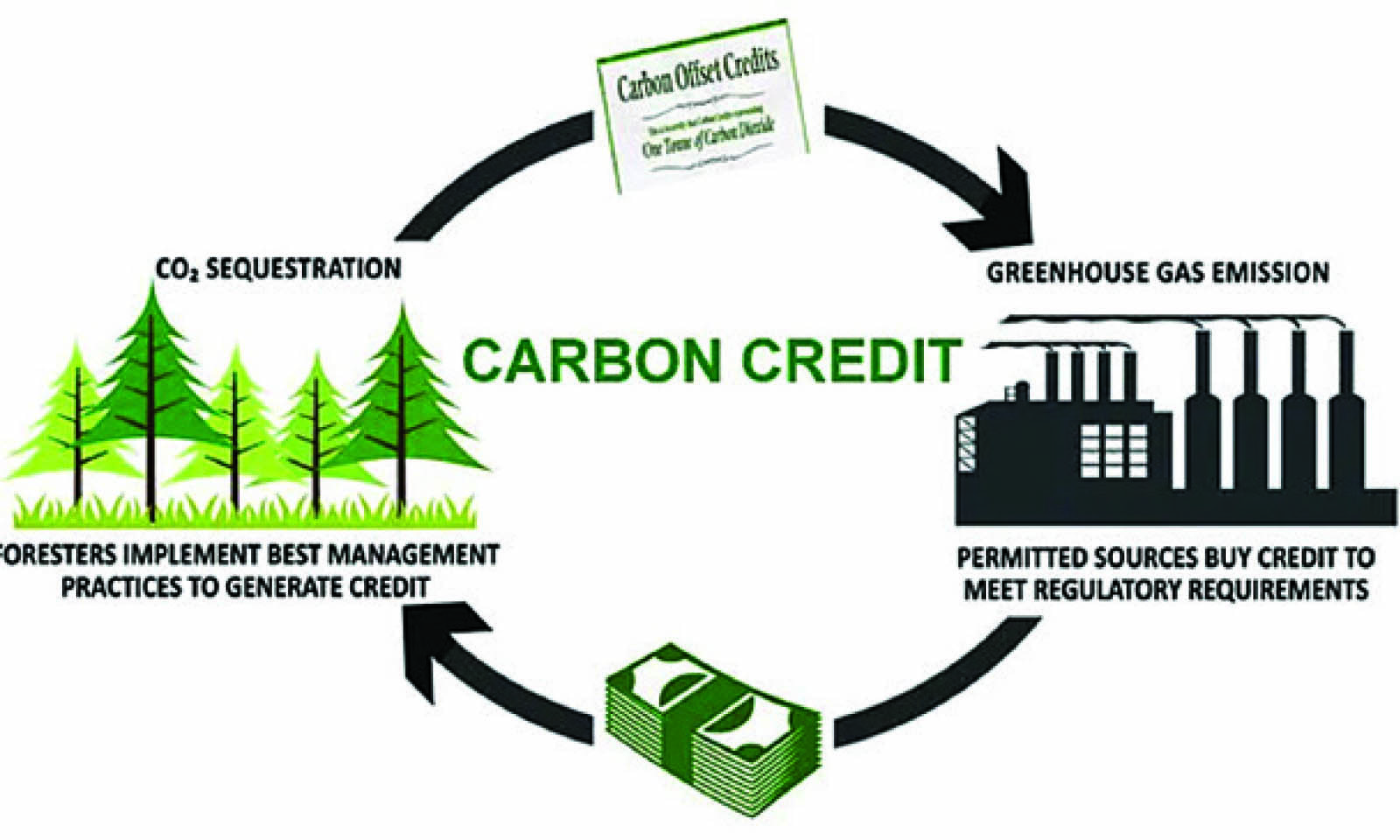 African Govts to include carbon-credits in GDP