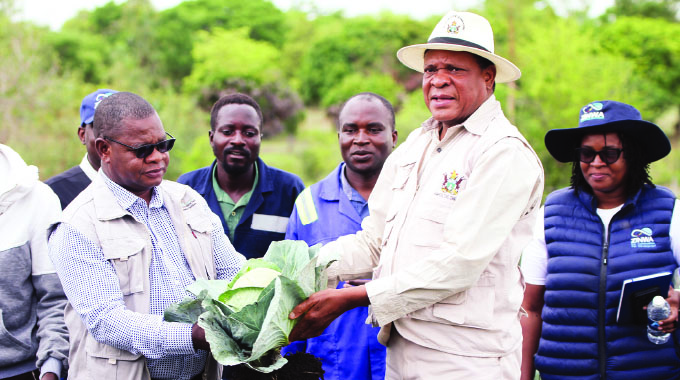 Rural economy takes new dimension