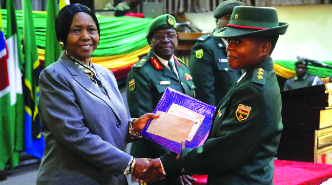 ‘Zim concerned with situation in Mozambique’