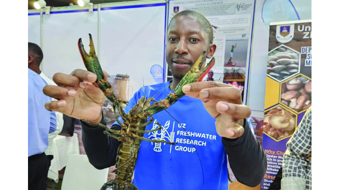 Harvesting crayfish to fight invasive species in Zim’s water ecosystem