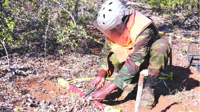UK bears responsibility in assisting Zim on landmines clearance