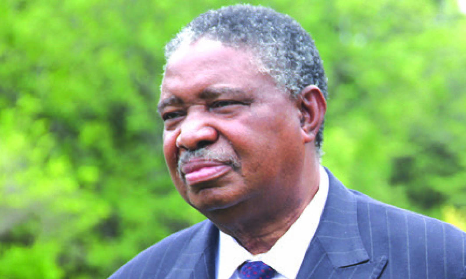 Ex-VP Mphoko declared national hero . . . Politburo decision unanimous
