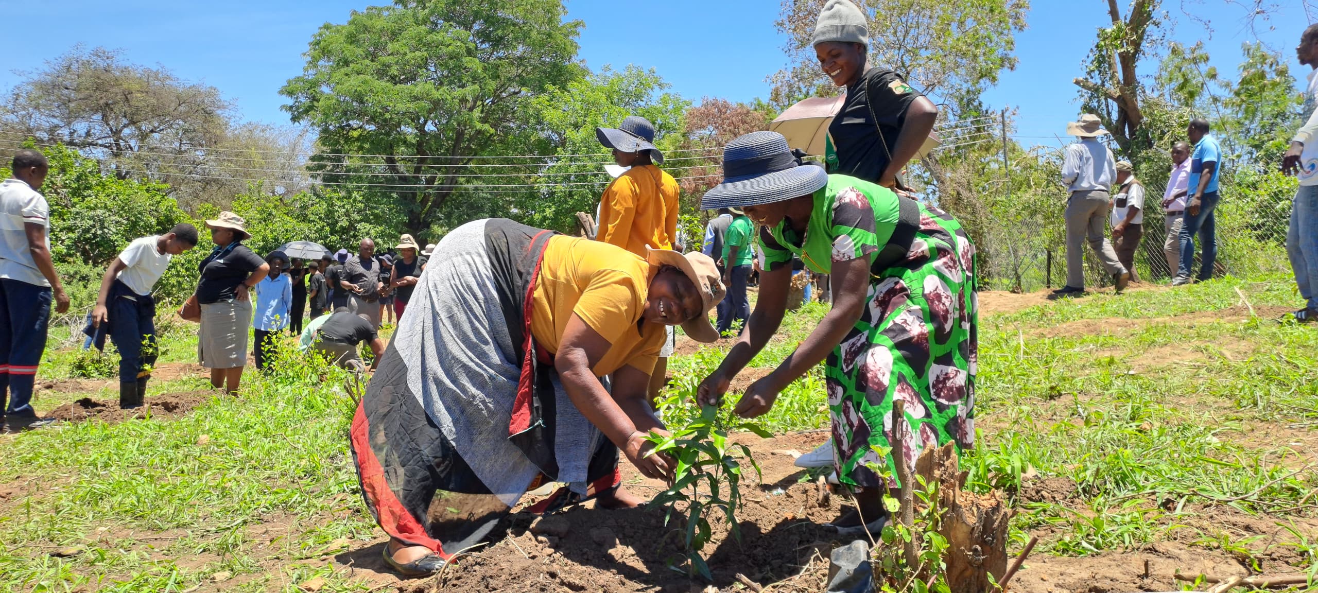 Ruya Adventist High School steps in to conserve trees