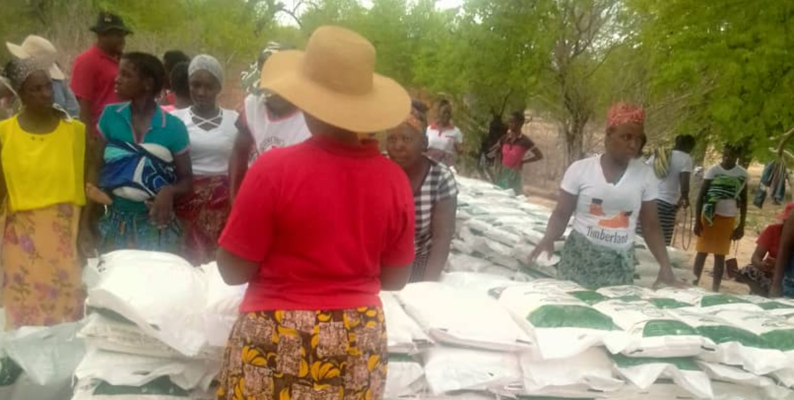 20 000 receive food aid in Binga