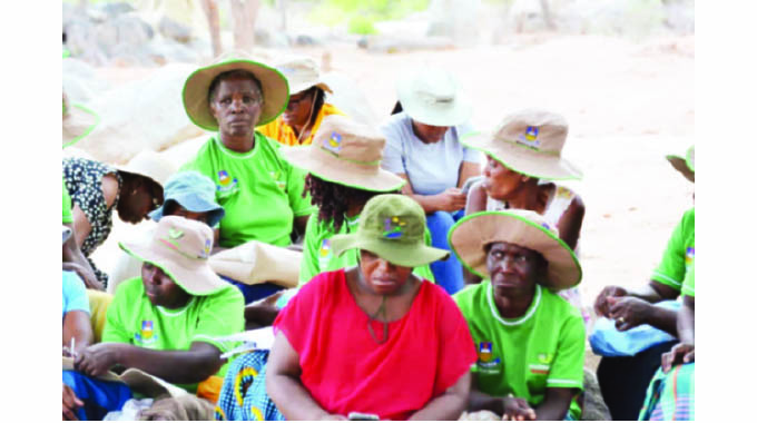 Mopani porridge helps fight malnutrition