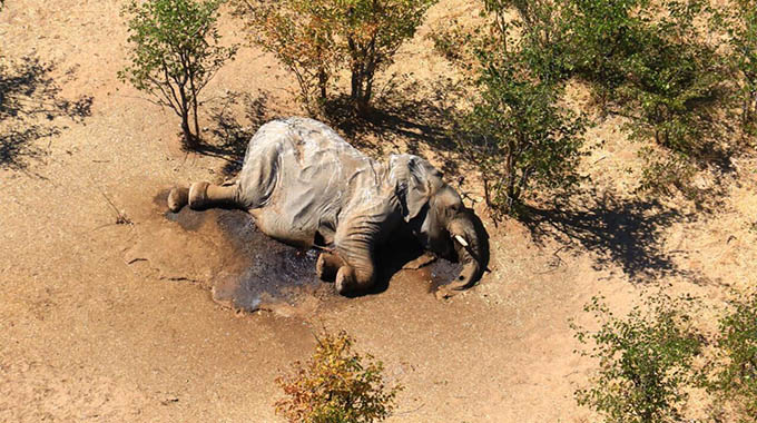 Climate poisoning an alarming trend