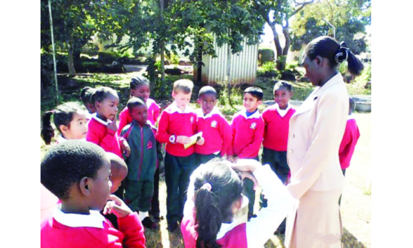 Allure Schools: Where excellence begins