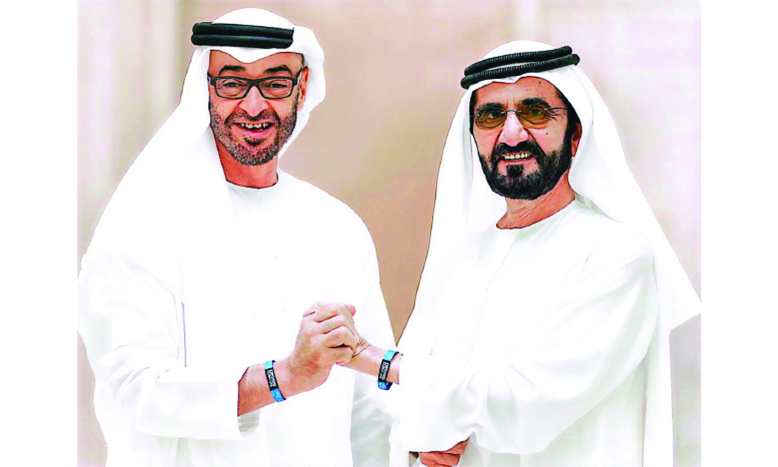 UAE envoy urges Zim to leverage on economic ties