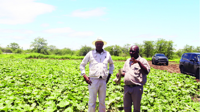 Govt rolls out initial crop assessment