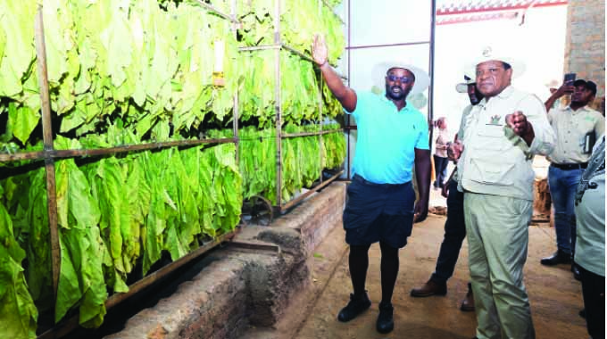 Rains bring good harvest prospects