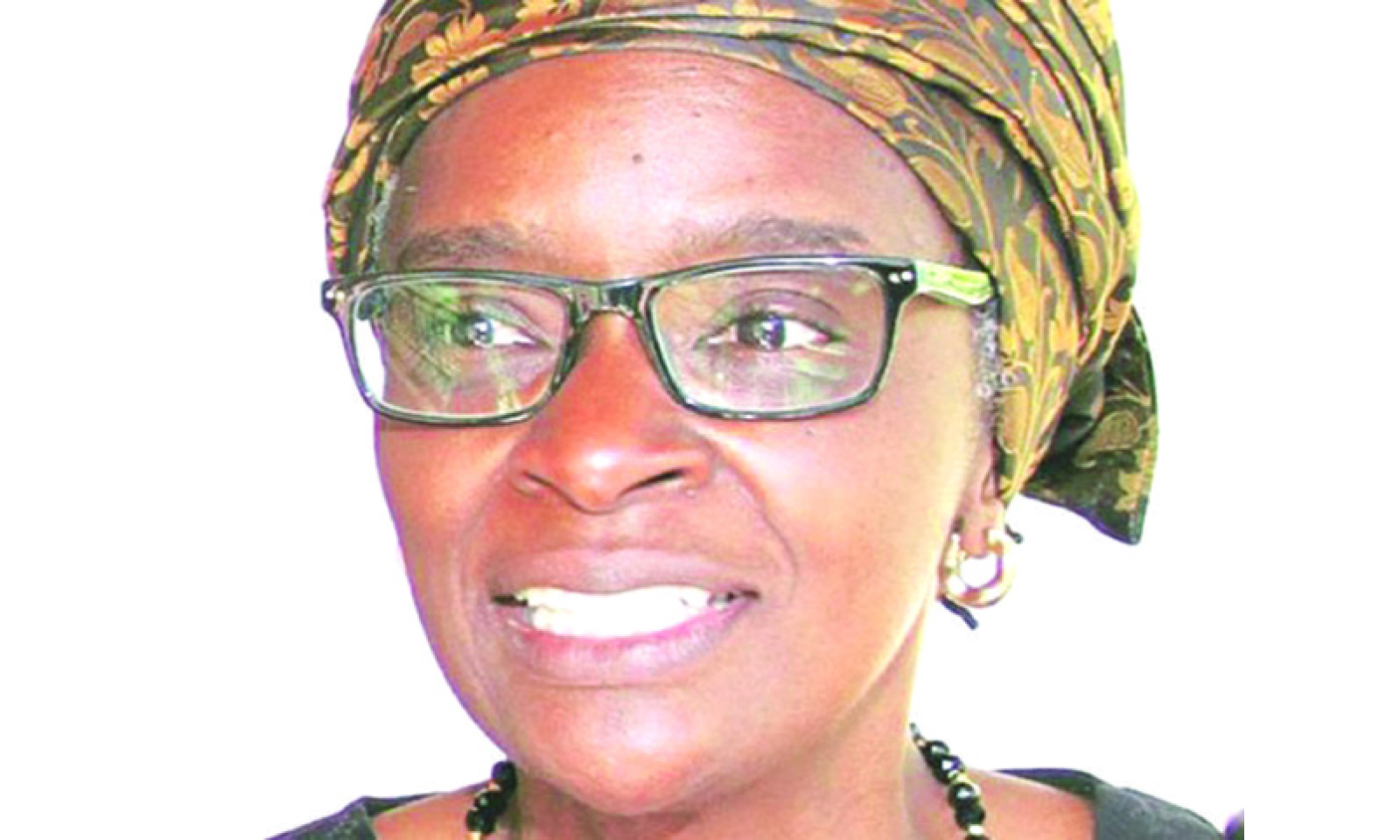 Museum, community archive immortalise Chitepo