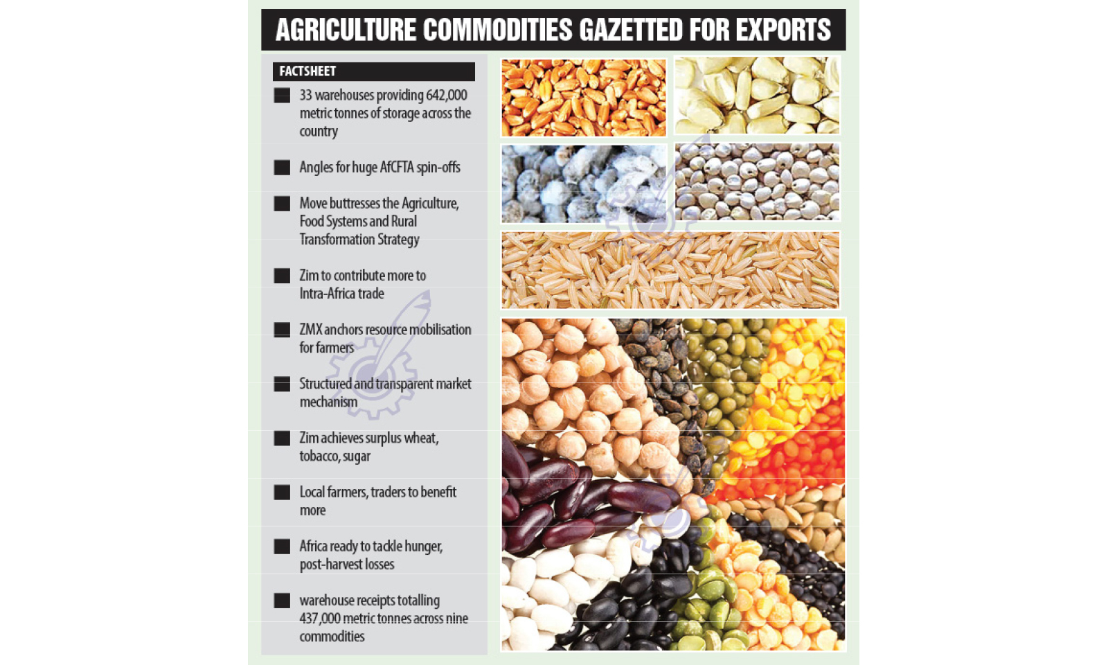Zim aims for huge spoils at AfCFTA