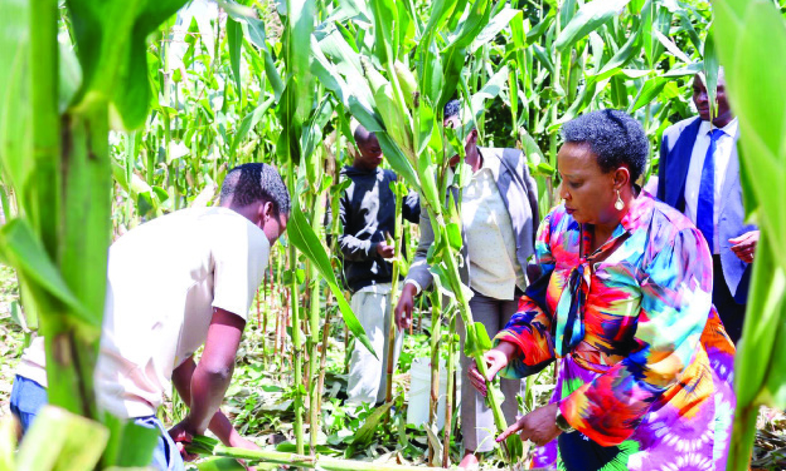 First Lady’s love envelopes Mbare Skills Development Centre
