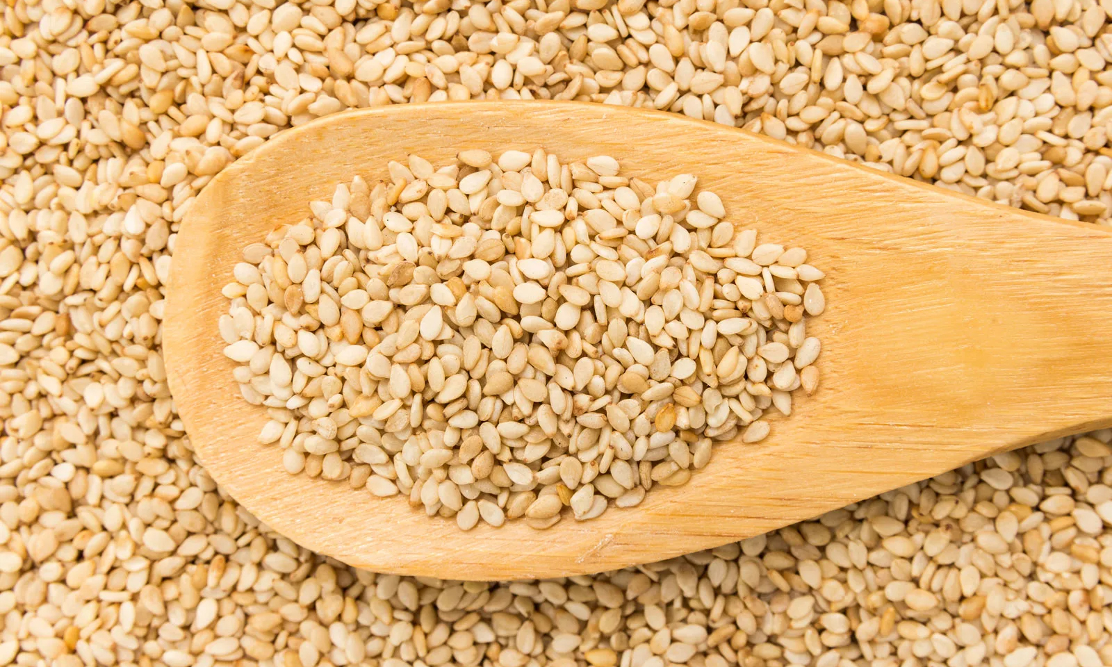Sesame transforms small holder farmers