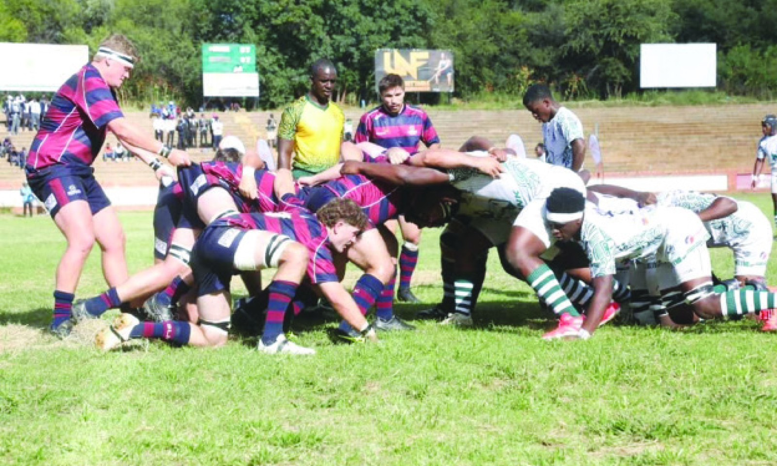 Junior Sables named ZimBho brand ambassadors