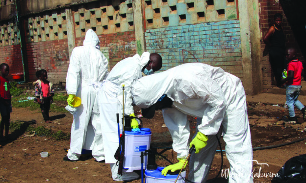Harare council launches emergency pest control in Mbare - herald