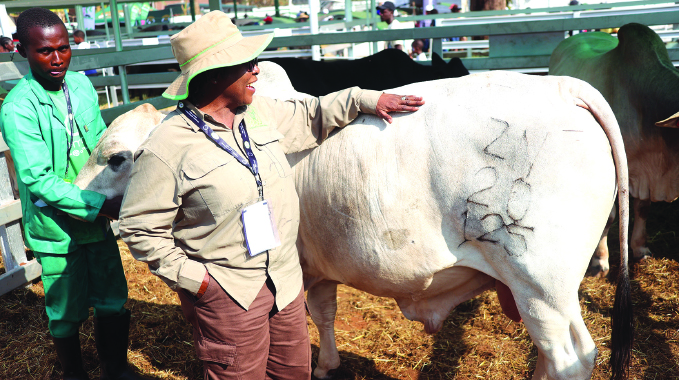 Ndhlukula blazes trail in innovative agriculture