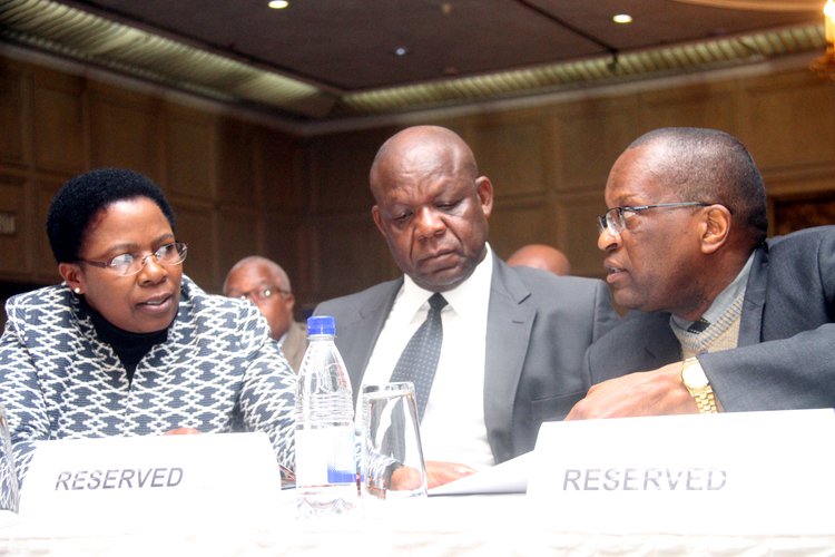 Zim’s trade flow improves