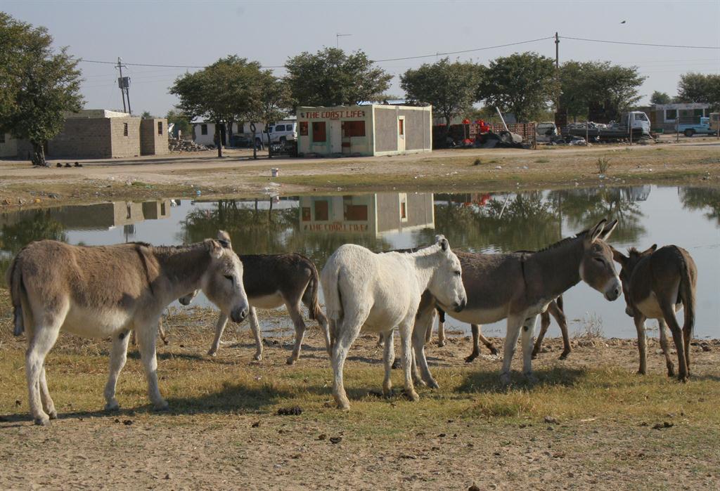 Zim-Asset needs better co-ordination