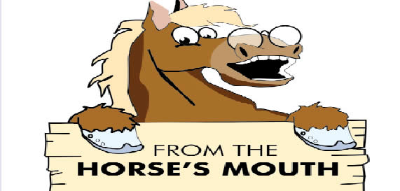 From the Horse’s mouth