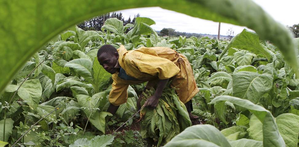 Unspoken need to balance job creation, capital investment
