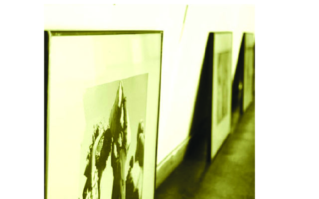 Importance of collecting art