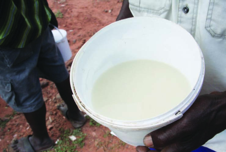 Malala palm wine: Drinking for health?