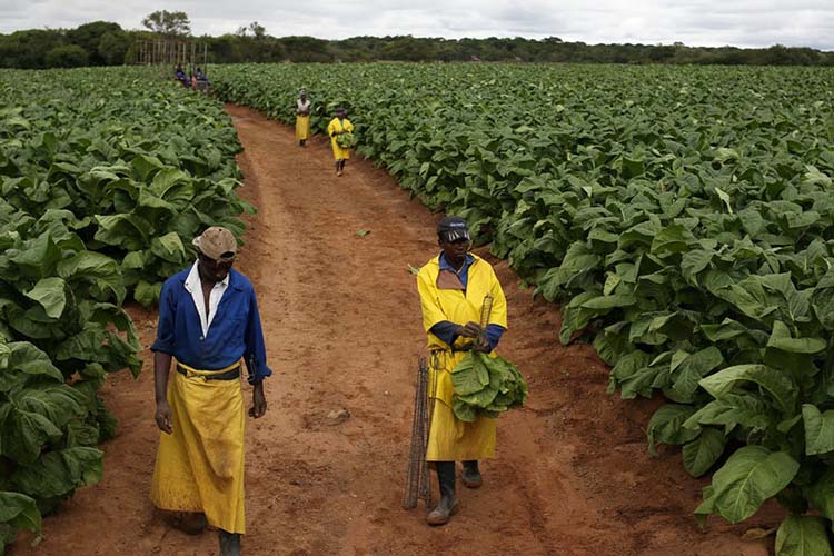 Zimbabwe urgently needs a new land administration system
