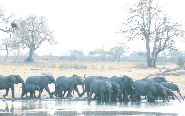 Hwange turns 90 as it looks to future