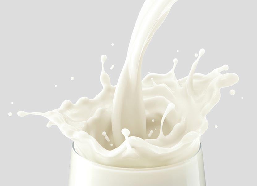 ProDairy invests $1, 6m in project to reduce milk production costs